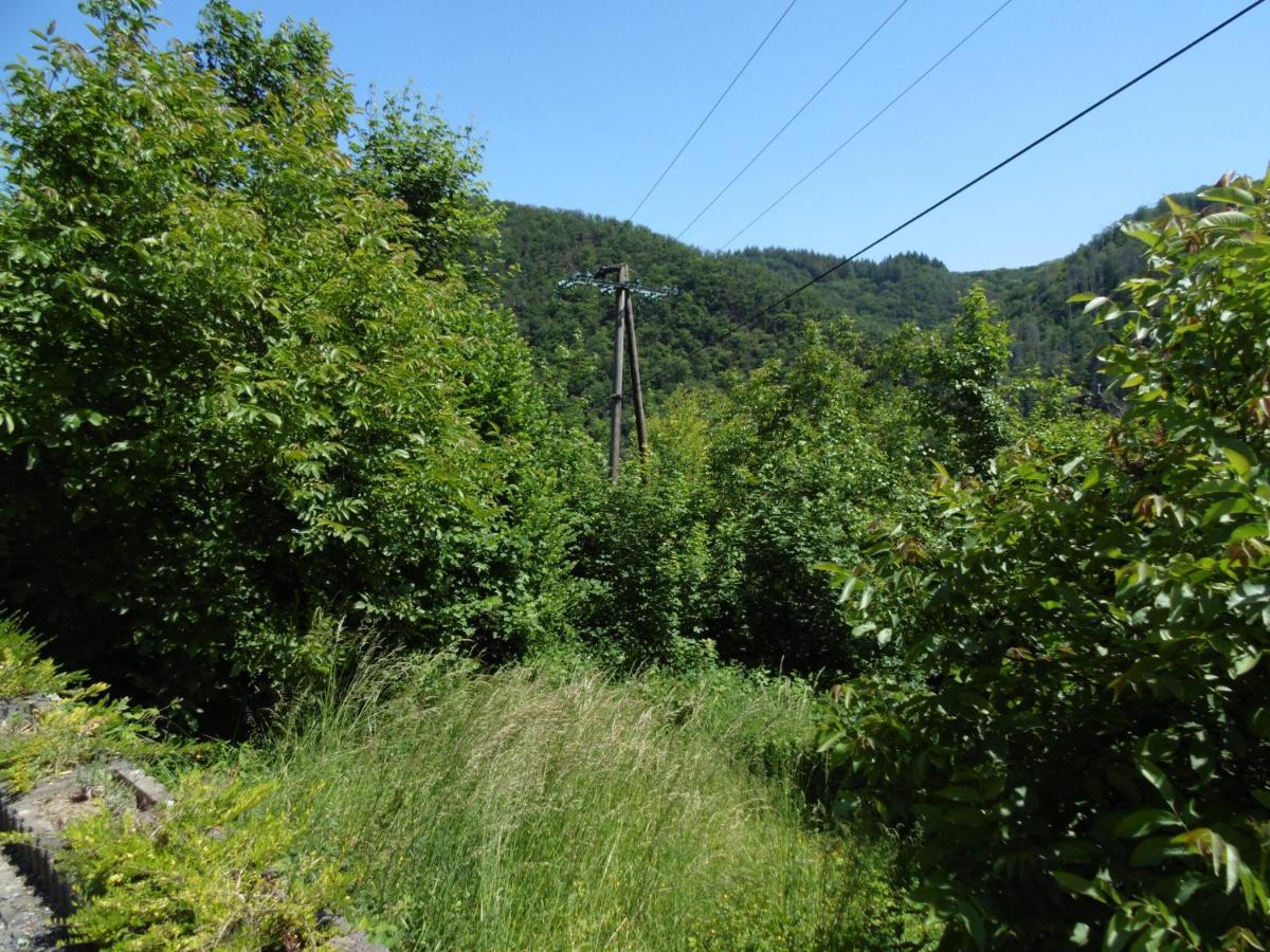 Ferienwohnung Schaefer Waldbreitbach Kültér fotó