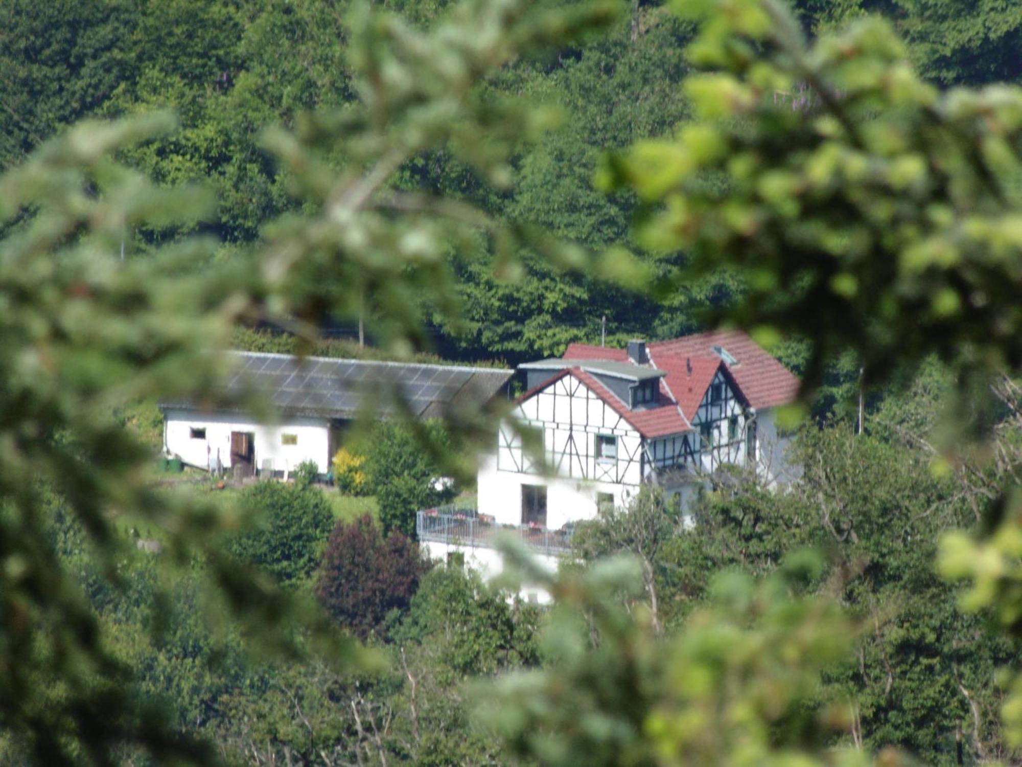 Ferienwohnung Schaefer Waldbreitbach Kültér fotó